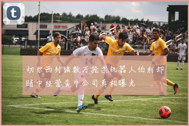 切尔西封堵数万抢票机器人伯利却暗中经营黄牛公司真相曝光