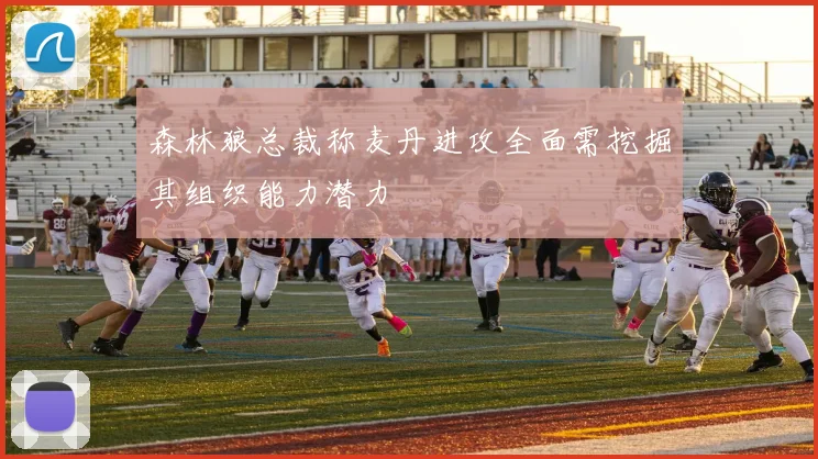 森林狼总裁称麦丹进攻全面需挖掘其组织能力潜力