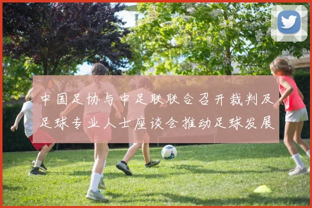 中国足协与中足联联合召开裁判及足球专业人士座谈会推动足球发展新举措